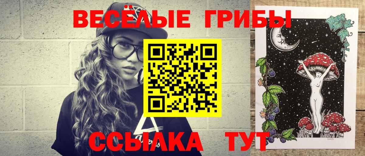как найти закладки  Галлюциногенные грибы Cubensis  Галлюциногенные грибы прущие грибы  Вход с VPN  Ивантеевка 