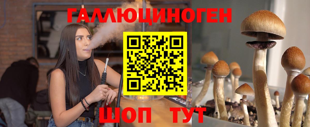 Псилоцибиновые грибы MAGIC MUSHROOMS Ивантеевка
